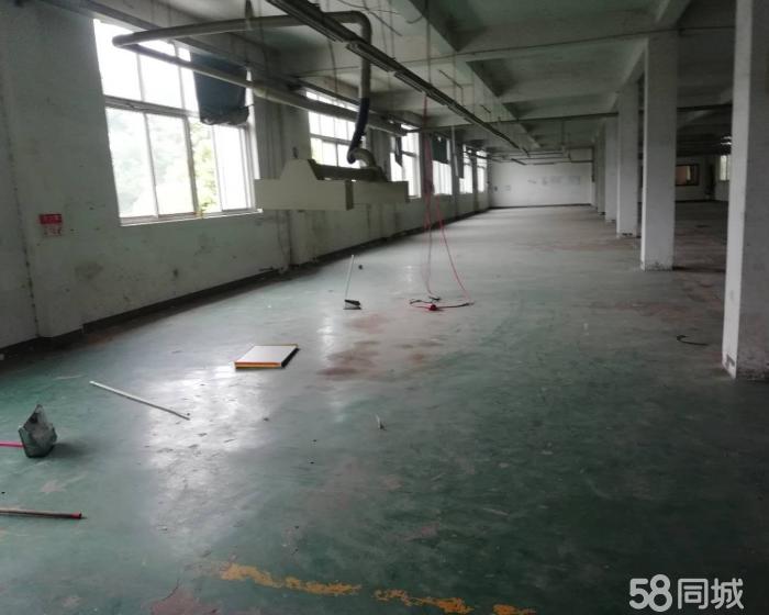 (出租) 嘉定封浜858平仓库厂房火热出租-pic2