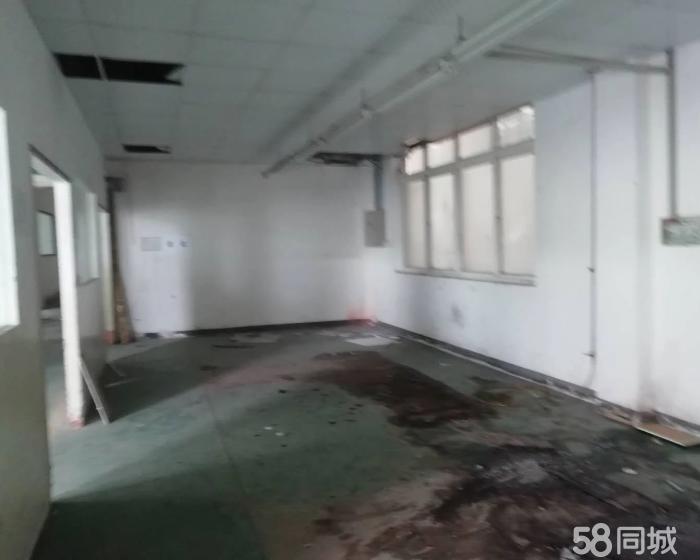 (出租) 嘉定封浜858平仓库厂房火热出租-pic3