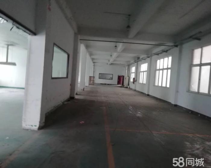 (出租) 嘉定封浜858平仓库厂房火热出租-pic4