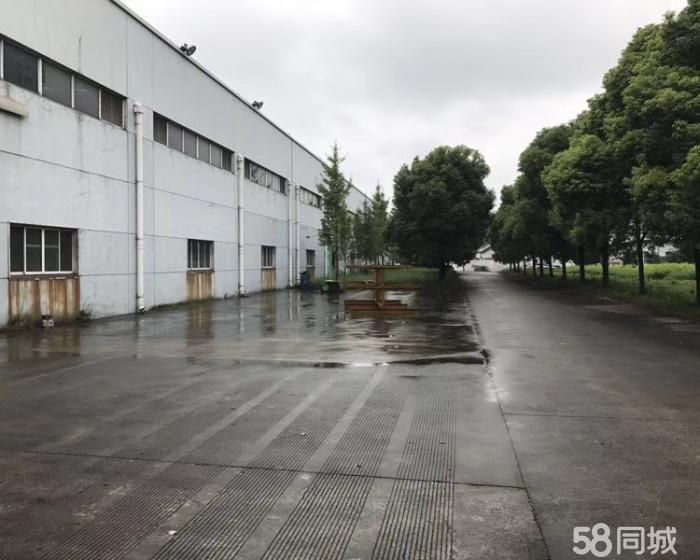 (出租) 南翔西开发区，单层2000平，仓库出租-pic3