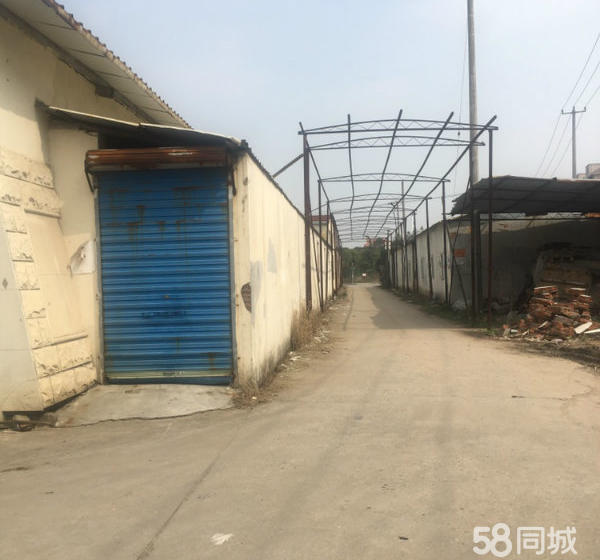 (出租) 独门独院 无立柱 高度8米 交通便利 价格实惠-pic4