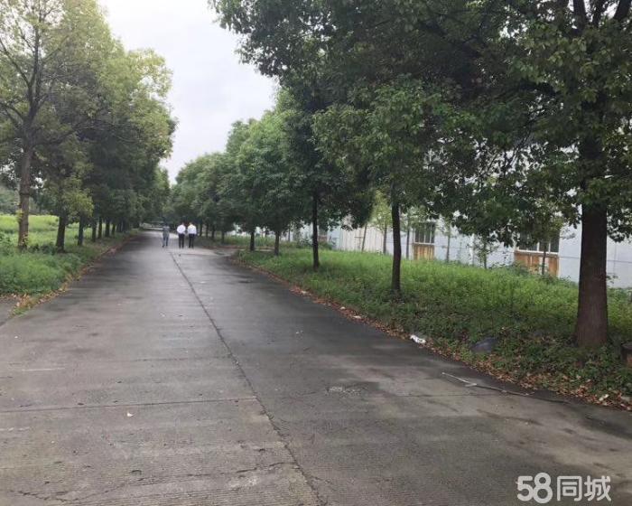 (出租) 南翔西开发区，单层2000平，仓库出租