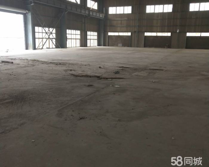 (出租) 主干道边的高平台仓库出租啦-pic3