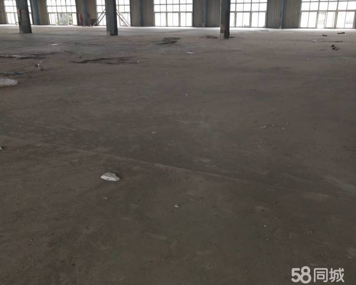 (出租) 主干道边的高平台仓库出租啦-pic4
