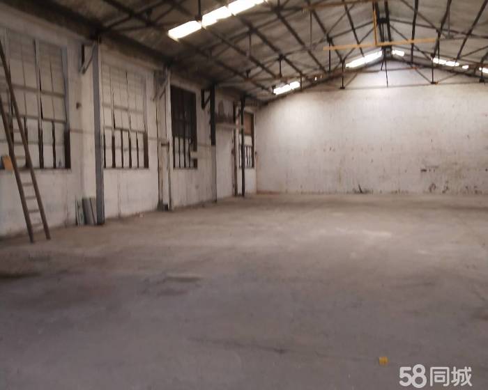 (出租) 潘广路400左右仓库便宜对外招租-pic2