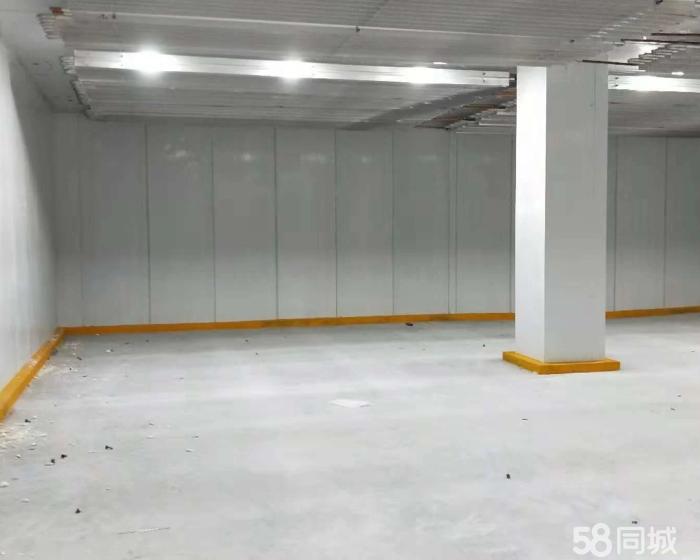 (出租) 上海浦东机场附近生鲜冷库出租，有意面谈，非诚勿扰-pic3