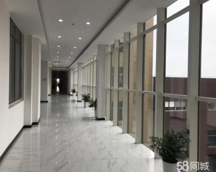 (出租) 江桥万达地铁口小面积电商仓库出租价格1.11.8-pic4