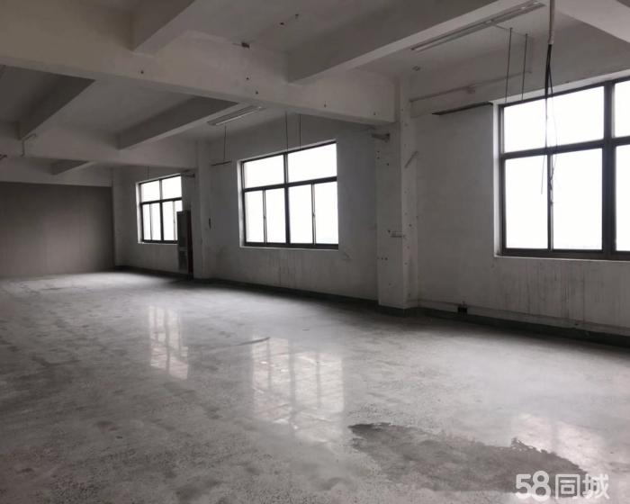 (出租) 物业直租104板块可注测办环评和食品流通许可证-pic2